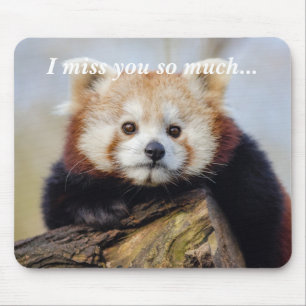 Cute Red Panda Miss You So Much  Mouse Pad