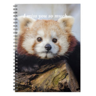 Cute Red Panda Miss You So Much  Notebook