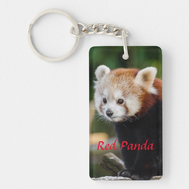 Cute Red Panda Photo Keychain (Front)