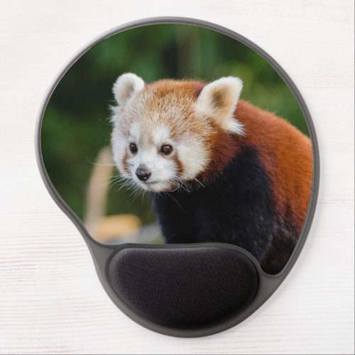 Cute Red Panda Photography Gel Mouse Pad