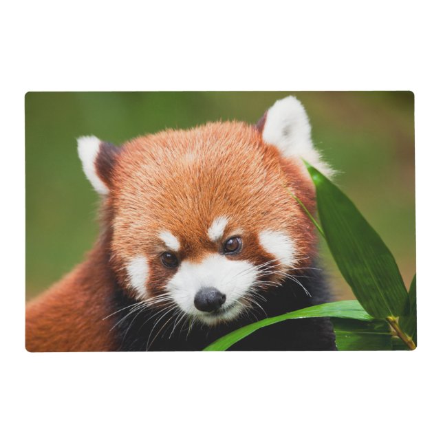 Cute Red Panda Placemat (Front)