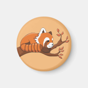 Cute Red Panda Resting in Tree Keychain Magnet