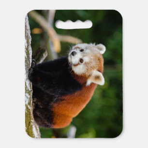 Cute Red Panda Seat Cushion
