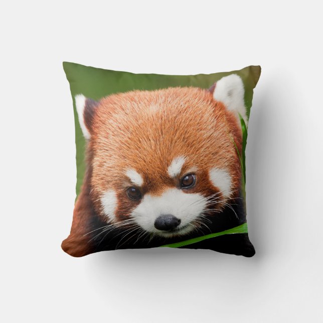 Cute Red Panda Throw Pillow (Front)