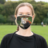 Cute Red Panda Wild Animal Adult Cloth Face Mask (Outside)