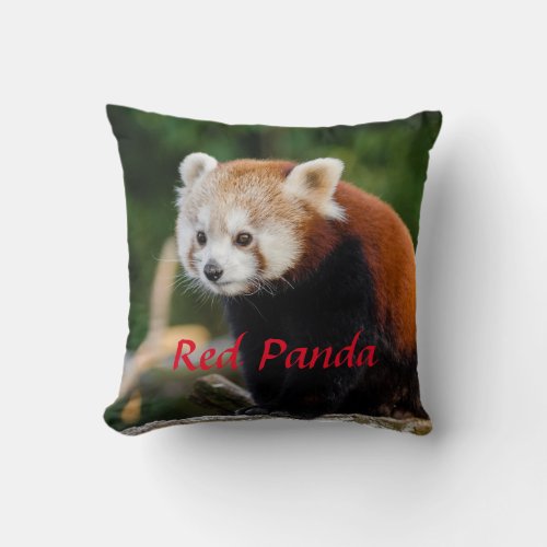 Cute Red Panda Wild Nature Photo Red Text Throw Pillow