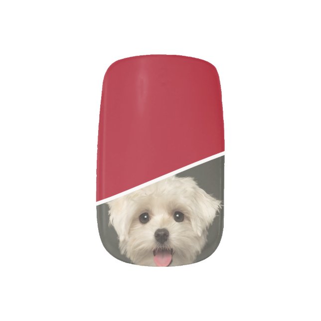 Cute Red Pet Photo Abstract Minx Nail Art (Right Thumb)