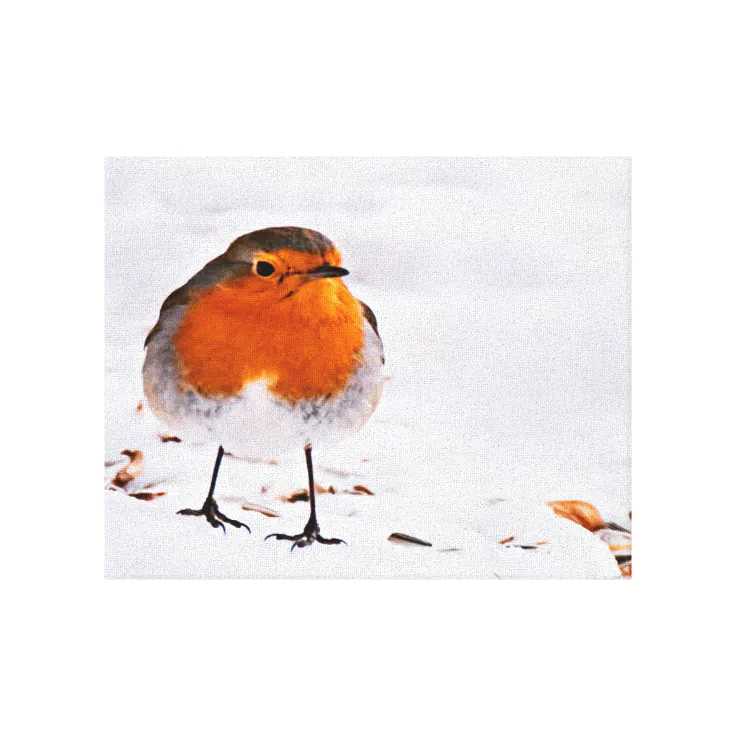 Cute red robin bird snow winter animal wildlife canvas print | Zazzle