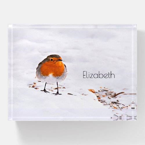 Cute red robin bird snow winter animal wildlife paperweight