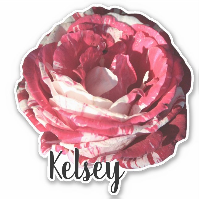 Cute Red Rose Monogram Name Flower Nature Plants Sticker (Front)