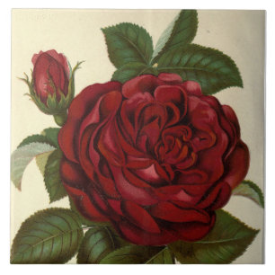 cute red rose vintage decor ceramic tile