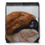 Cute Red Ruffed Lemur Drawstring Bag