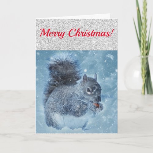 Cute Red Silver and Blue Squirrel Card