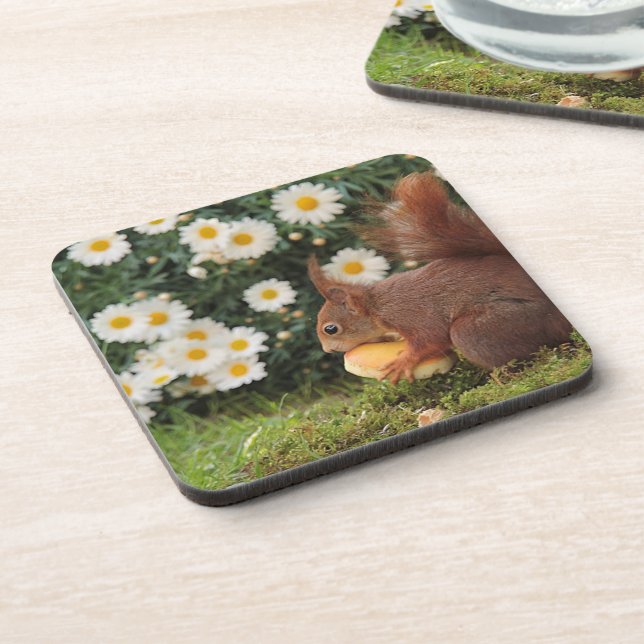 Cute Red Squirrel and Daisies Beverage Coaster (Left Side)