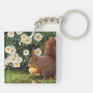 Cute Red Squirrel and Daisies Keychain
