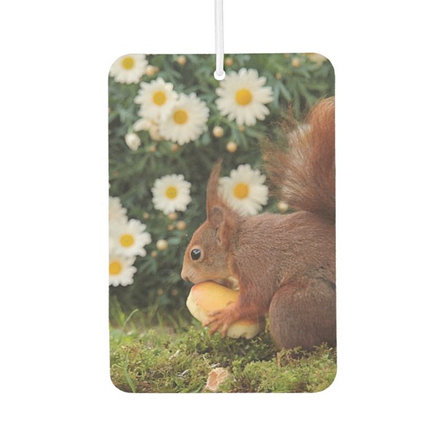 Cute Red Squirrel and Daisies Photo Air Freshener (Front)