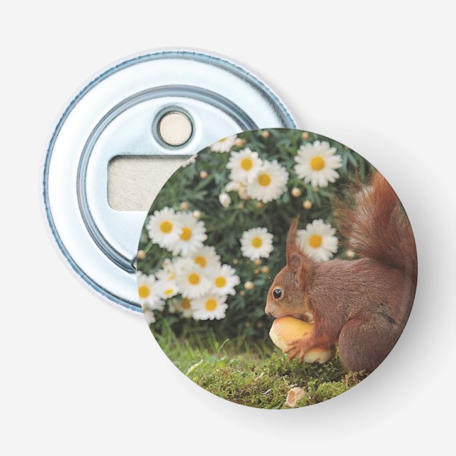 Cute Red Squirrel and Daisies Photo Bottle Opener (Front)