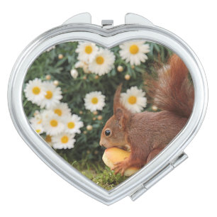 Cute Red Squirrel and Daisies Photo Compact Mirror