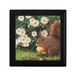Cute Red Squirrel and Daisies Photo Gift Box
