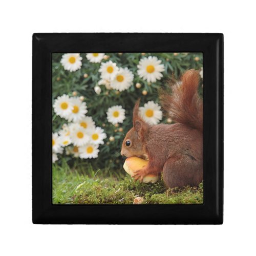 Cute Red Squirrel and Daisies Photo Gift Box