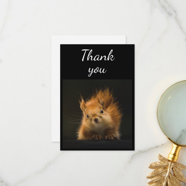 Cute Red Squirrel Animal Humor Thank You (Front/Back In Situ)