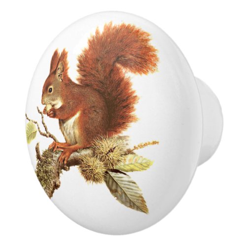 Cute Red Squirrel On Branch Ceramic Knob
