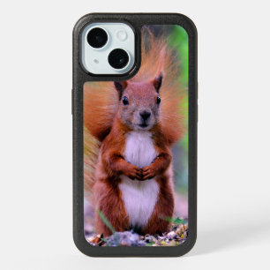 Cute Red Squirrel Photograph iPhone 15 Case