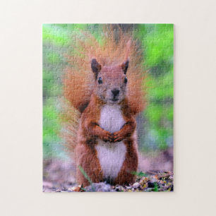 Cute Red Squirrel Photograph Jigsaw Puzzle