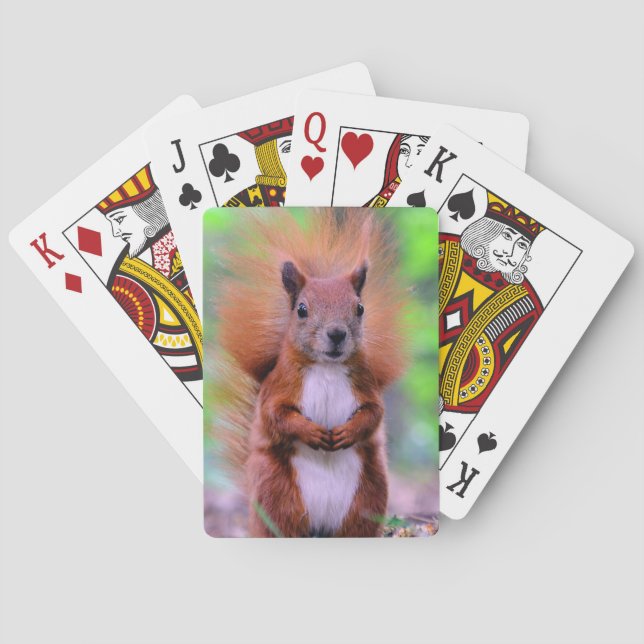 Cute Red Squirrel Photograph Poker Cards (Back)