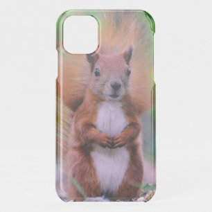 Cute Red Squirrel Photograph iPhone 11 Case