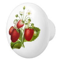 Cute Red Strawberry