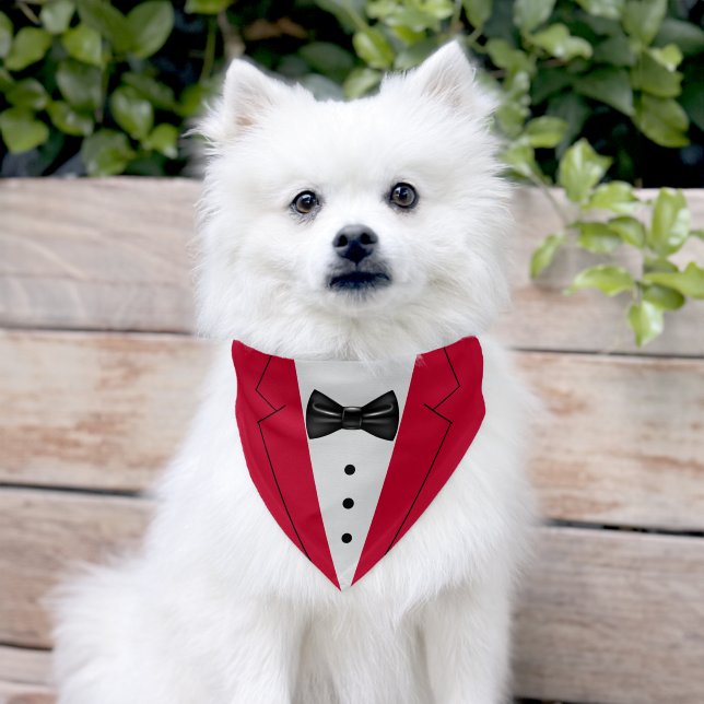 Cute Red Suit Black Bowtie Pet Bandana Collar (Dog)
