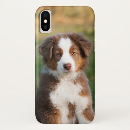 Cute Red Tri Australian Shepherd Dog Puppy Photo  iPhone X Case