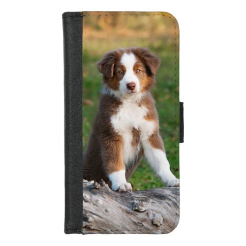 Cute Red Tri Australian Shepherd Dog Puppy Photo  iPhone 87 Wallet Case