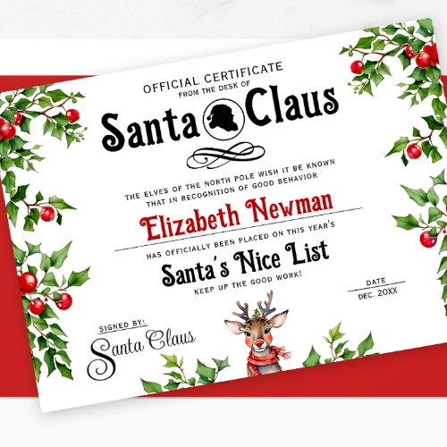Cute Red White Santa Naughty Nice List Official  Holiday Card