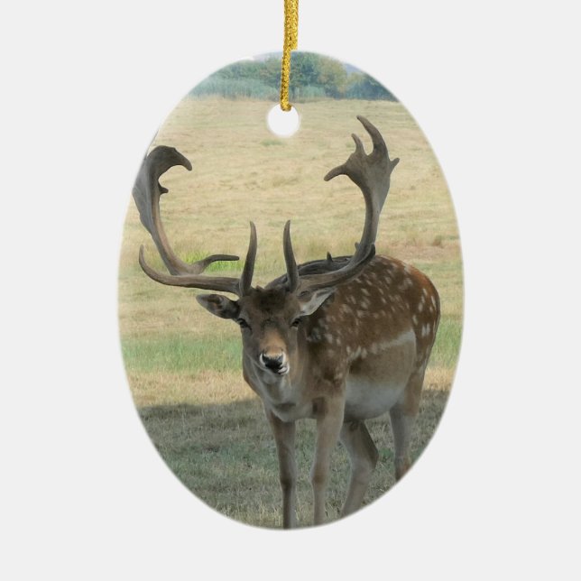 Cute Reindeer Ceramic Ornament (Front)