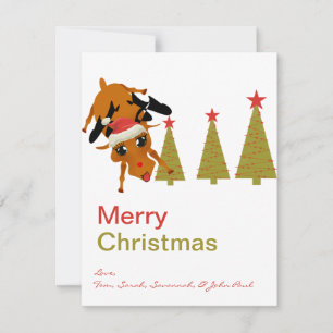 Cute Reindeer Mery Christmas Cards