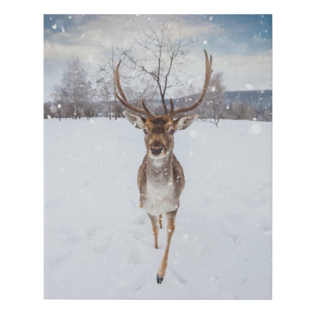 Cute Reindeer Photo Faux Canvas Print (Front)