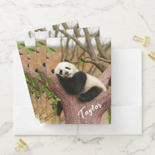 Cute Relaxing Panda Bear Pocket Folder