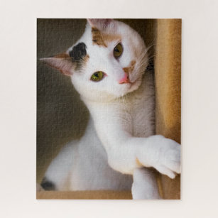 Cute Relaxing White Calico Cat Puzzle