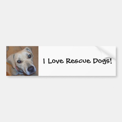 Cute Rescue Dog Bumper Sticker | Zazzle