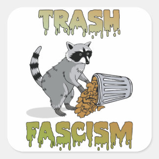 Cute Retro Raccoon - Trash Fascism Square Sticker