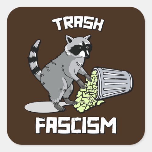 Cute Retro Raccoon _ Trash Fascism Square Sticker