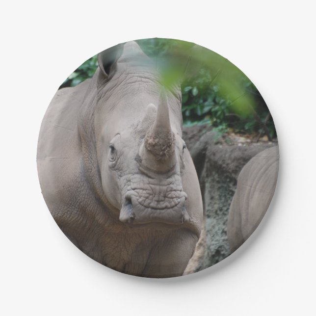 Cute Rhino Paper Plates (Front)