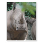 Cute Rhino Temporary Tattoos