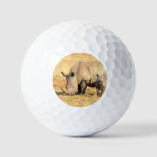 Cute rhinoceros in africa  golf balls