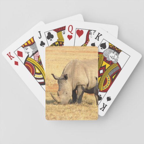 Cute rhinoceros in africa   playing cards