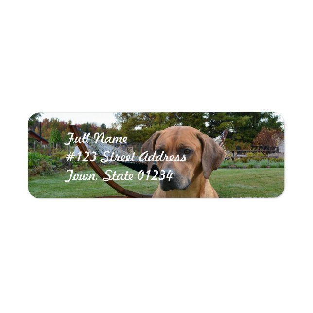 Cute Rhodesian Ridgeback Label (Front)