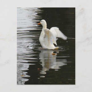 Cute Rising Duck DIY Postcard