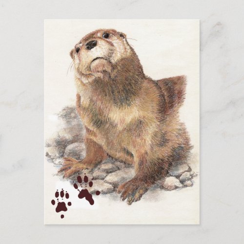 Cute River Otter Animal and Tracks Natue Postcard